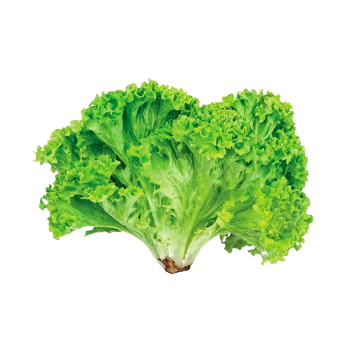 Alface
